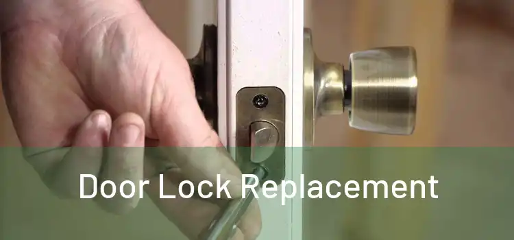  Door Lock Replacement 